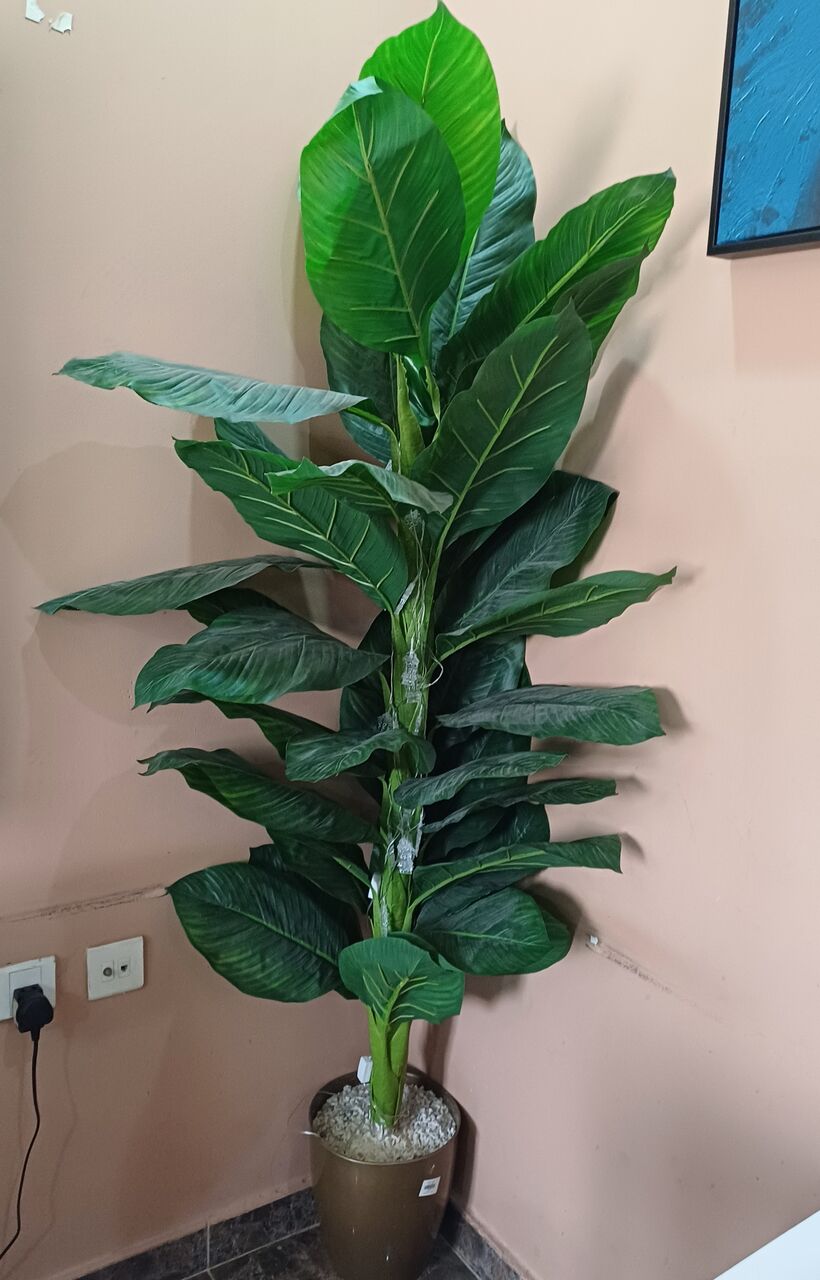 Jubail, Auto Parts, SAR 1,  House Items For Sale