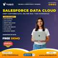 Salesforce Data Cloud Training | Salesforce Data Cloud Course