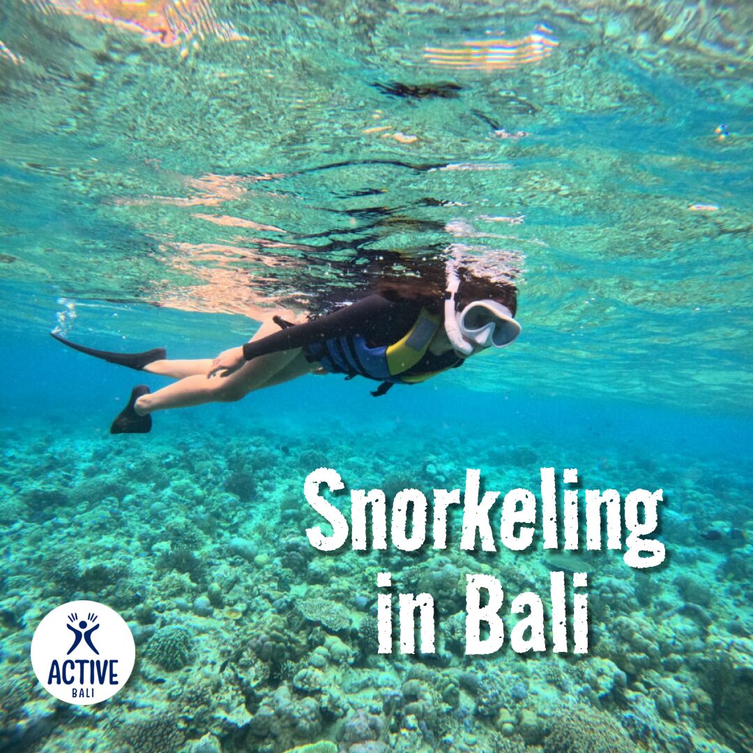Bali, Travel, Snorkelling In Bali | Best Tours & Spots &ndash; Active Bali