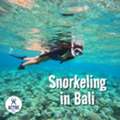 Snorkelling In Bali | Best Tours & Spots &ndash; Active Bali