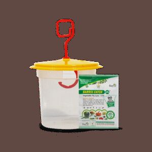 Mumbai, Materials, INR 59,  Buy Insect Traps Online - Shramik Krishi Kendra