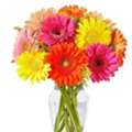 Send Gerberas | Gifts And Petals Elegant Floral Box