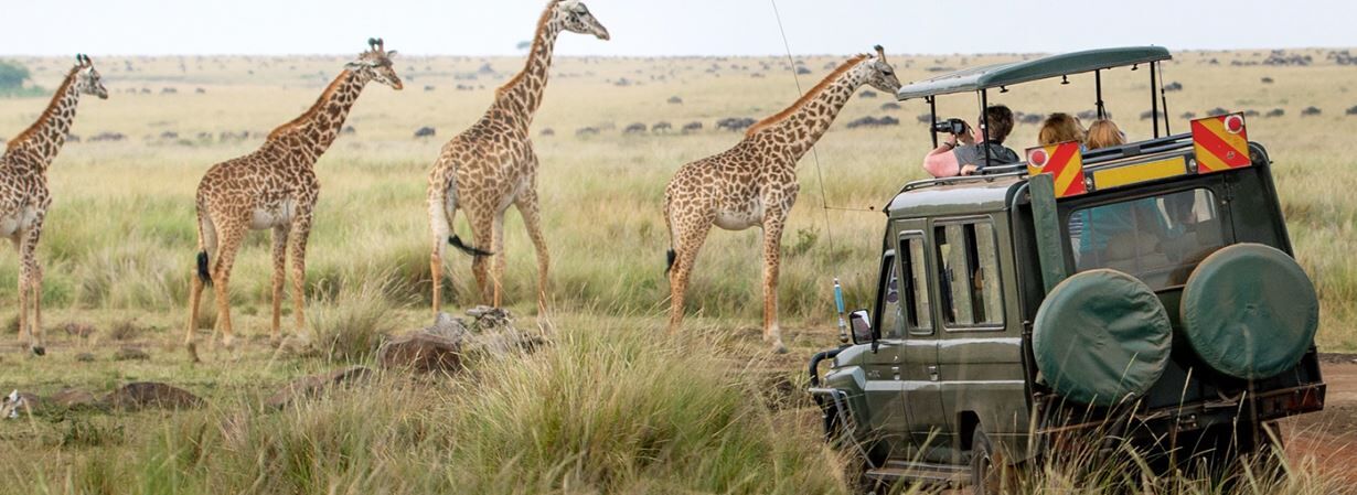New York, Travel, Photography Safari Tours