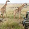 Photography Safari Tours