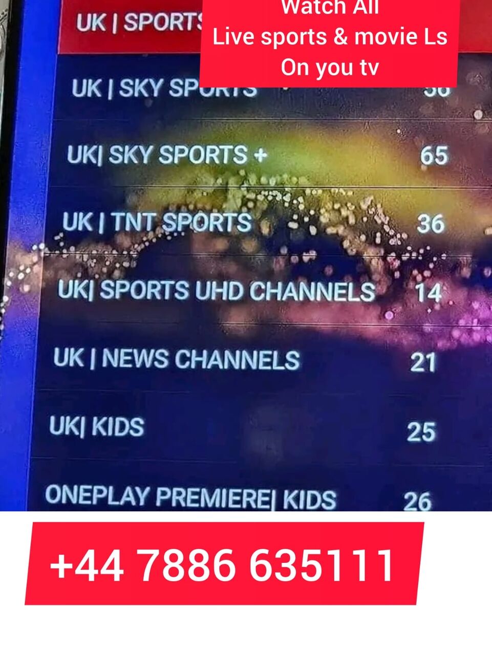 Riyadh, Job Seekers, Saudi Live TV
