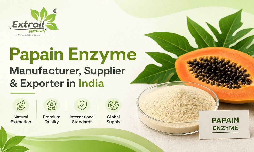 Ahmedabad, Health & Beauty Items, Papain Enzyme Manufacturer, Supplier & Exporter In India