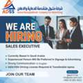 Sales Executive