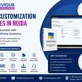Tally Customization Services In Noida: Boost Your Business With Custom TallyPrime Solution