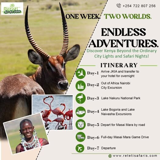 Nairobi, Travel, Tanzania Safari Packages From India &ndash; Explore Kenya & Tanzania Wildlife Adventures