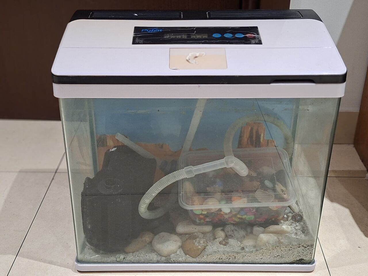 Zinj, Pet Supplies, BHD 18,  Aquarium For Sale