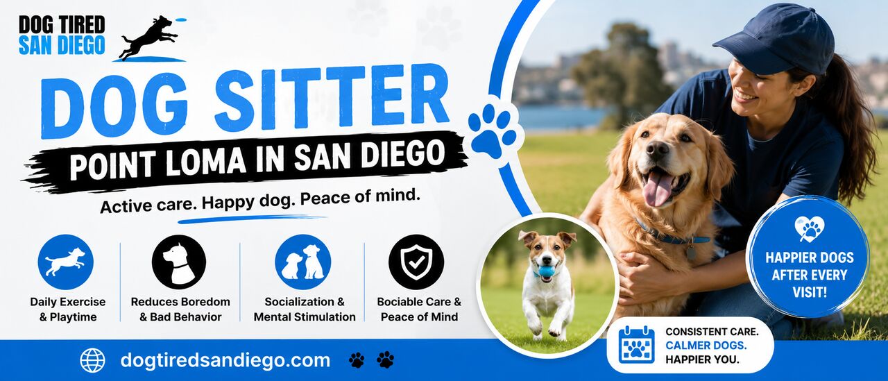 San Diego, Pet Sitting, Dog Sitter Point Loma In San Diego For Active Dogs