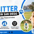 Dog Sitter Point Loma In San Diego For Active Dogs
