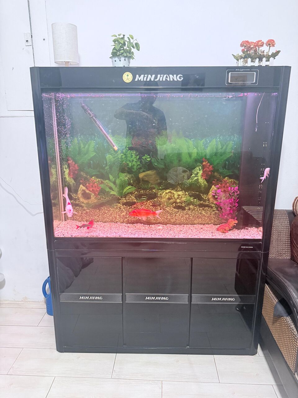 Dammam, Household Items, SAR 500,  Fish Tank (260 L)with Full Accessories And 2 Koi Fish