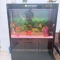 SAR 500,  Fish Tank (260 L)with Full Accessories And 2 Koi Fish