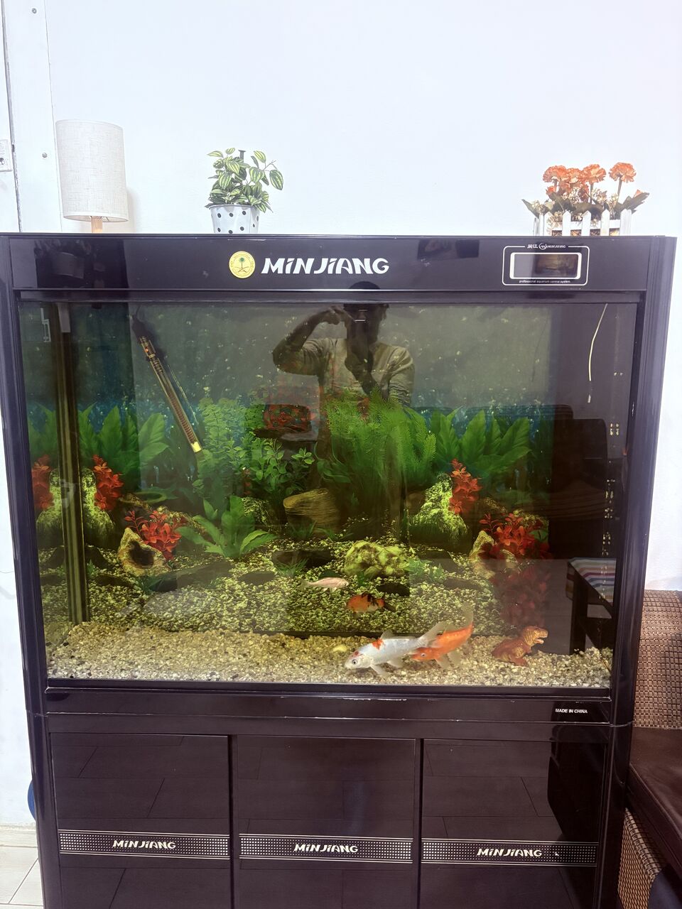 Dammam, Household Items, SAR 500,  Fish Tank (260 L)with Full Accessories And 2 Koi Fish