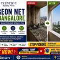 Professional Anti-Bird Net Installation Bangalore