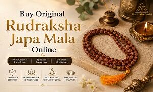 Gurgaon, Household Items, INR 998,  Buy Original Rudraksha Japa Mala Online At Best Price | The Stardust Studio