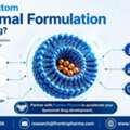 🚀 Are You Looking For A Customized Liposome Formulation For Your Medicine?