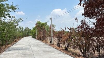 Bangkok, Real Estate For Sale, THB 240000,  6 BR,  12000 Sq. Feet,  Land For Sale, Good Location, 30 Rai, Owner Sells It Himself.  Located In Sai Ngam