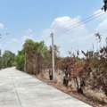 THB 240000,  6 BR,  12000 Sq. Feet,  Land For Sale, Good Location, 30 Rai, Owner Sells It Himself.  Located In Sai Ngam