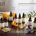 Buy Premium Essential Oils From A Trusted Exporter In India