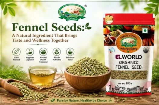 Noida, Food, INR 75,  Fennel Seeds: Nature
