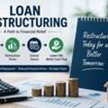Can Loan Restructuring NGT Lawyers In New Delhi Help?