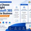 How To Choose The Right Microsoft 365 Plans For Business Without Overpaying - FES Cloud