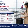 ¿Cuál Es El Equipaje De Mano Permitido En Delta Airlines?