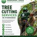 Affordable Tree Removal & Tree Cutting Services In Hyderabad