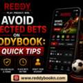 Avoid Rejected Bets On ReddyBook: Quick Tips