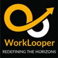 Payment Gateway For ECommerce | WorkLooper Consultants