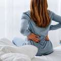 Helping Orpington Stay Active And Pain Free