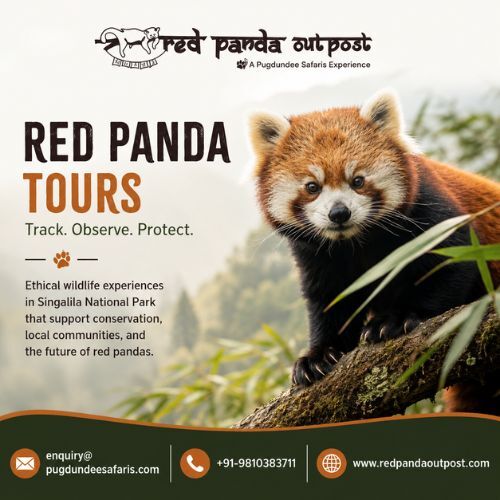 Gurgaon, Travel, Red Panda Tours That Support Conservation Efforts