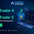 USD 5000,  Professional MetaTrader Trading Platform Development For Modern Businesses