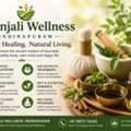 Join Patanjali Wellness Yoga Centre Today