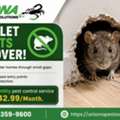 Pest Control Experts In Chandler, AZ | Fast & Affordable Pest Control