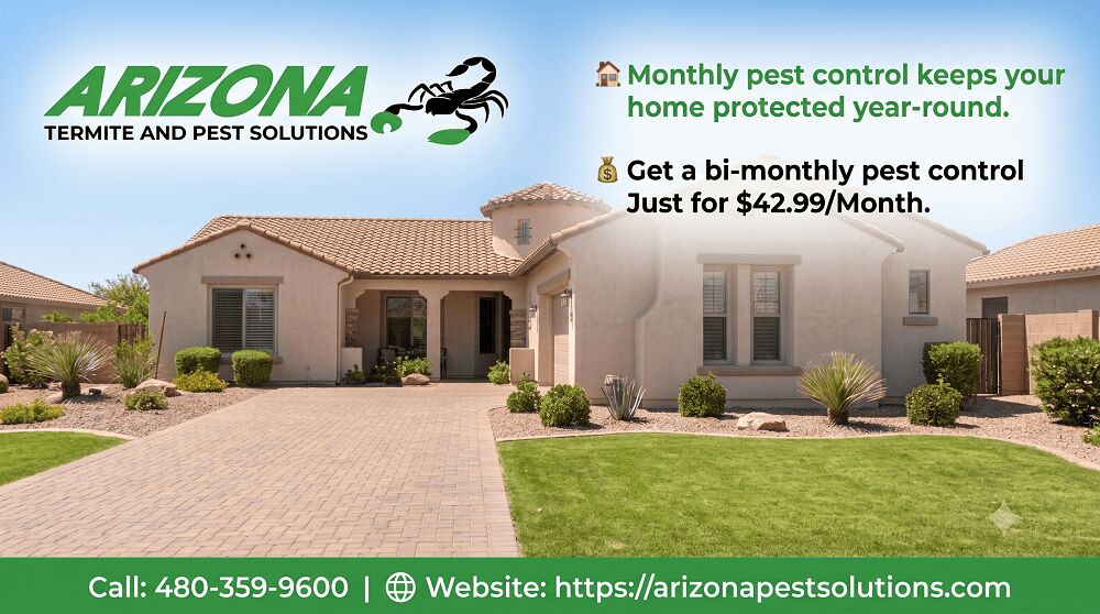 New York, Pest Control, Pest Control Experts In Chandler, AZ | Fast & Affordable Pest Control