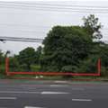 THB 3474000,  6 BR,  193 Sq. Feet,  Empty Land For Sale Next To The Road, Highway No. 41-Phunphin(4153) Phunphin District,