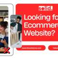 Looking For An Ecommerce Website?