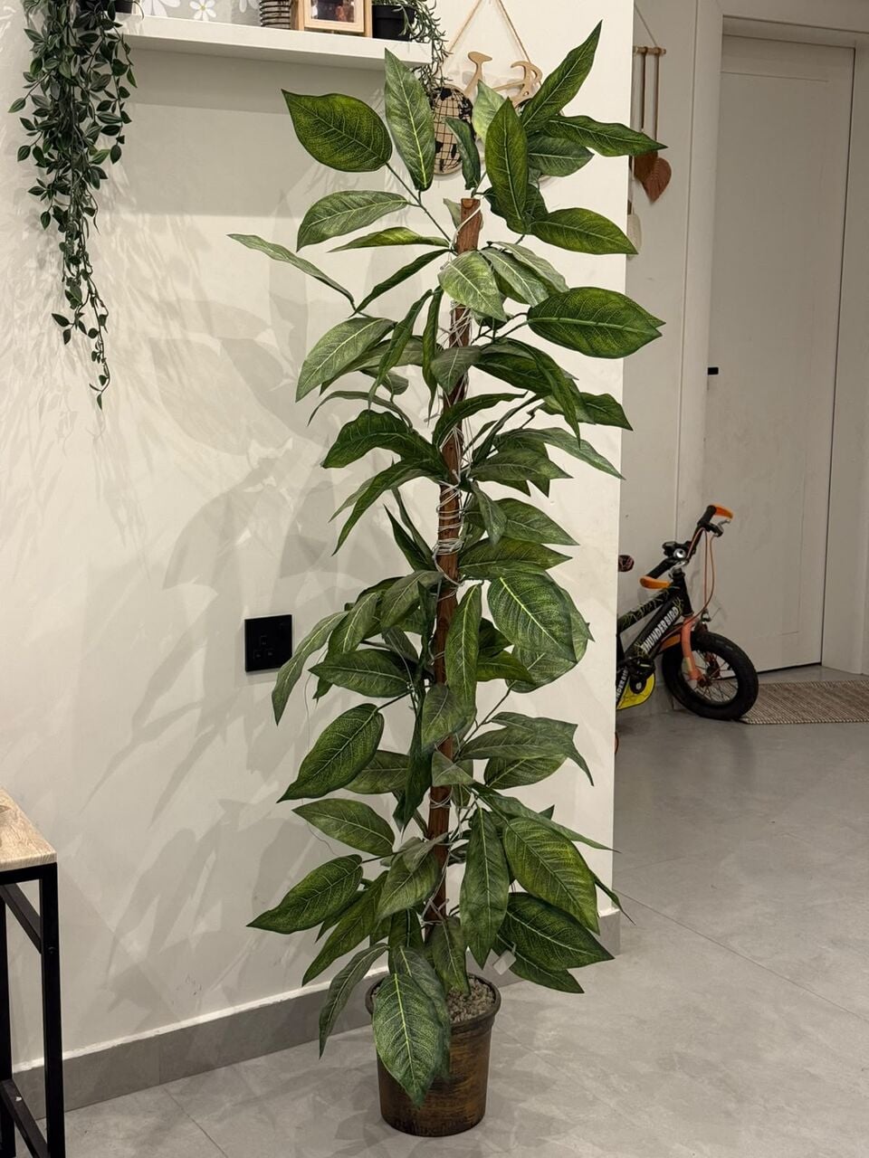 Riyadh, Furniture, SAR 15,  Chairs,portable Cycling Machine, Artificial Flower