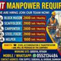 Urgent Need 300 Worker