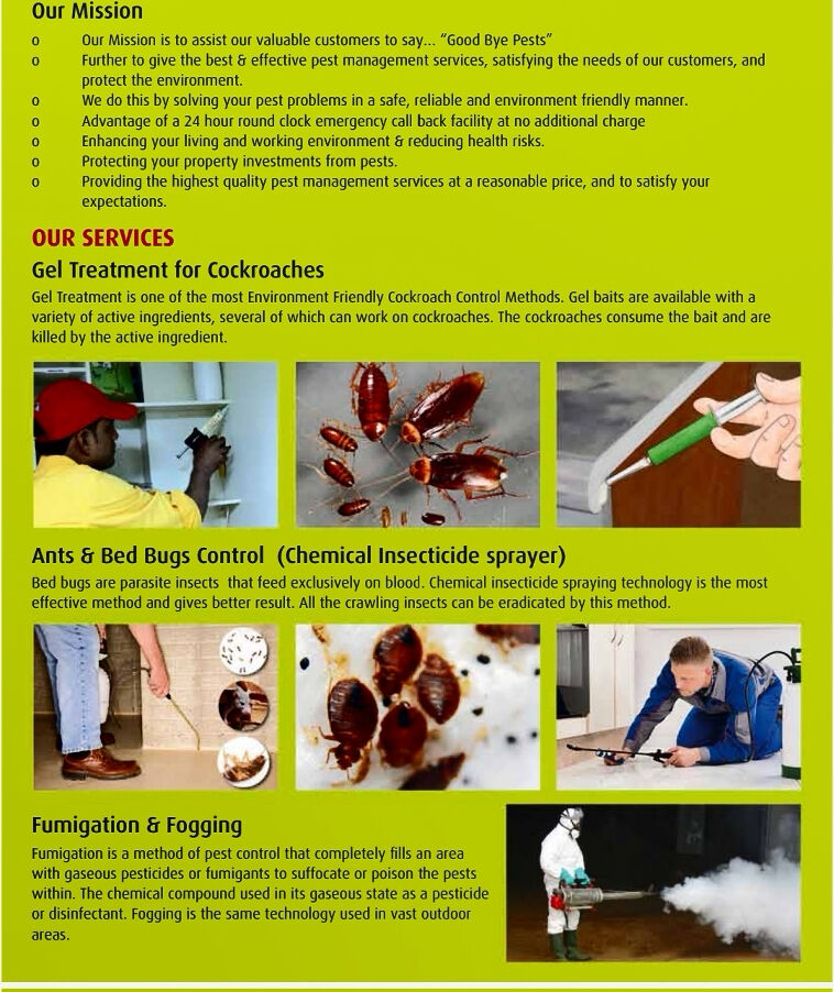 Jeddah, Pest Control, ALBUSTAN PEST SERVICE