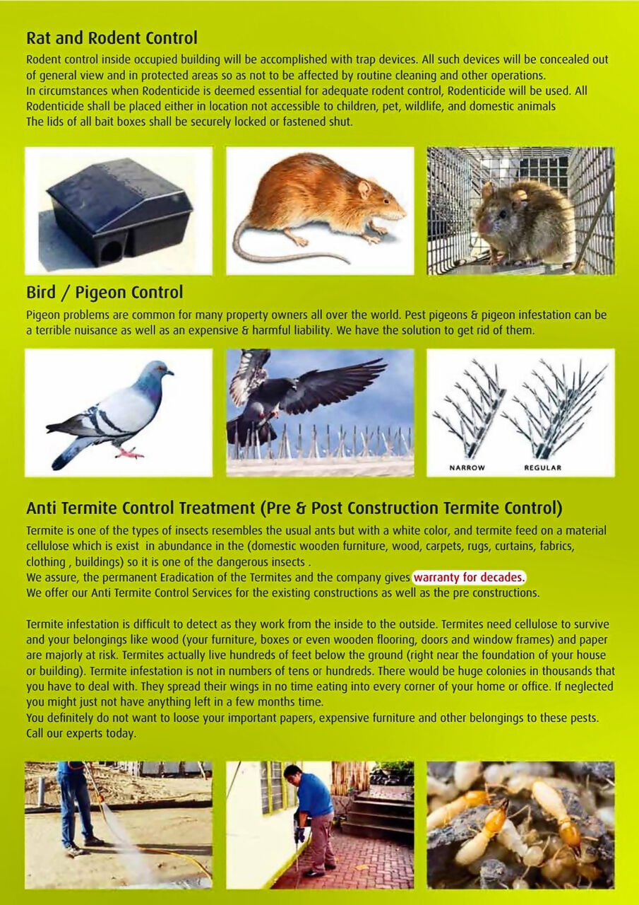 Jeddah, Pest Control, ALBUSTAN PEST SERVICE