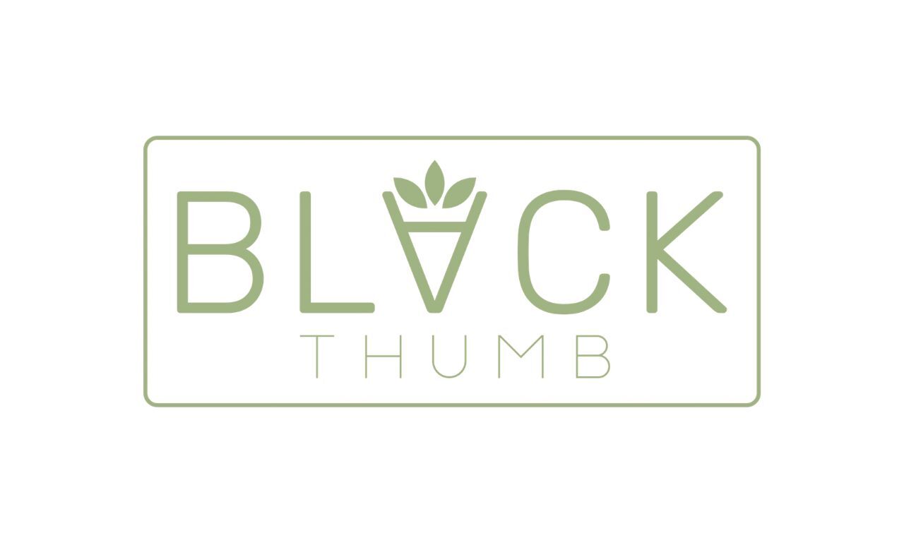 Cape Town, Interior Design, Black Thumb Landscaping