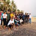 Fun Beach Games For Team Building