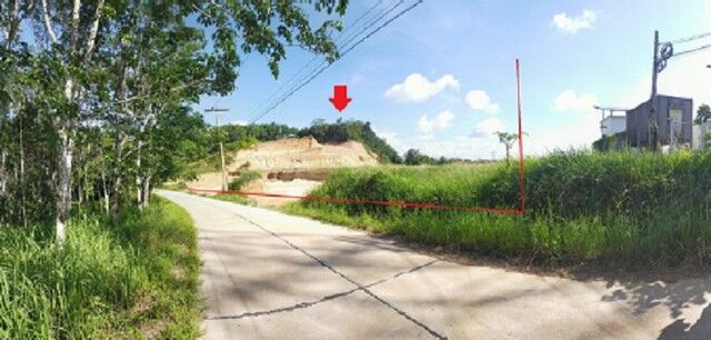 Bangkok, Real Estate For Sale, THB 7700000,  6 BR,  4396 Sq. Feet,  Empty Land For Sale, Soi Ban Pak Nam, Surat Thani-Takua Pa Road, Ton Yuan Subdistrict,