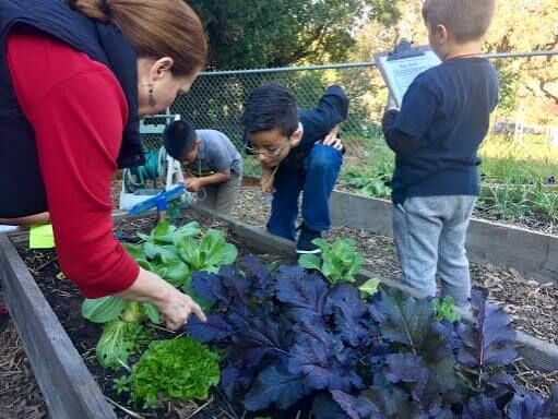 New York, Education, Find A Private School Near Me That Families Keep Recommending