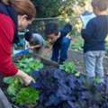 Find A Private School Near Me That Families Keep Recommending