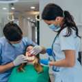 Emergency Dentist Osage Beach MO